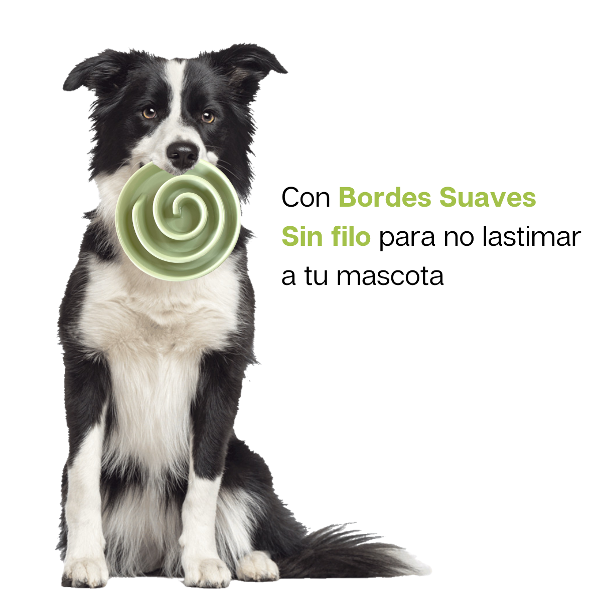 Plato Para Perro Alimentación Lenta Slow Feed