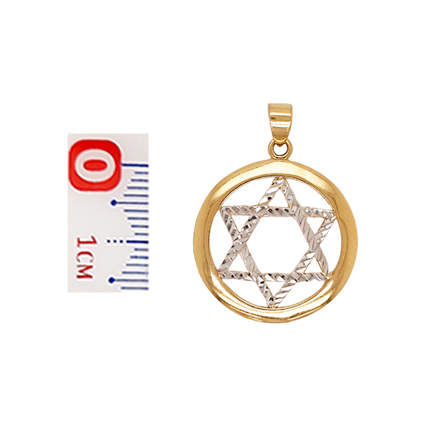 Dije de Estrella de David en Oro Amarillo de 14 K + Obsequio