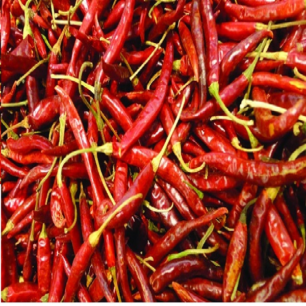 Chile de árbol selecto MOBEE 1kg