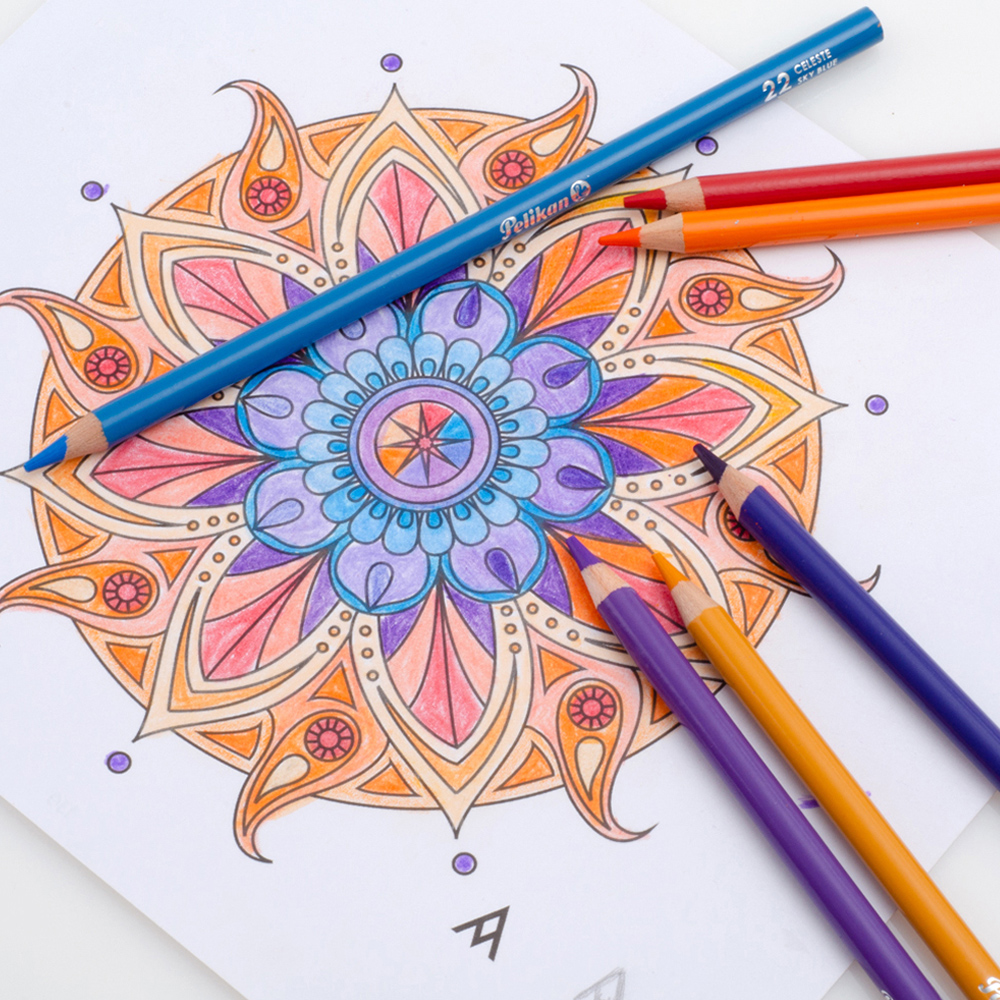 Lápices de Colores Pelikan con 24 piezas Largos 