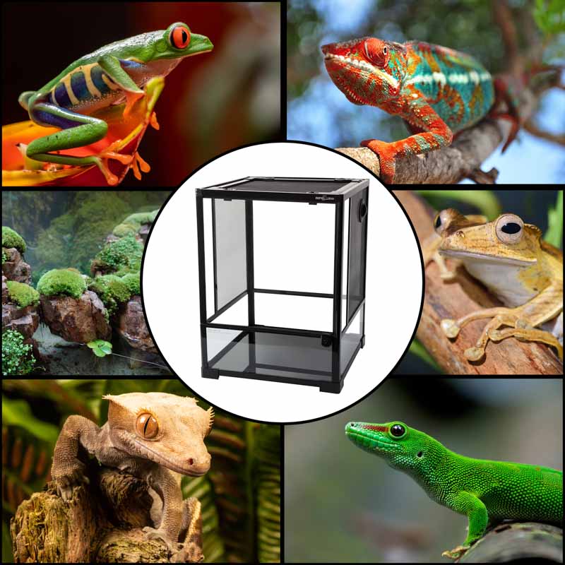 Reptizoo Terrario de Cristal para Reptiles de 121 Litros, 45 cm x 45 cm x 60 cm. Habitat con doble puerta frontal abatible, ventilación superior y lateral.