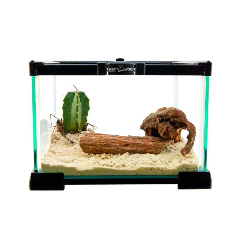 Reptizoo Mini Habitat de Cristal de  6.6 Lt  de 21 cm x 21 cm x 15 cm, con tapa deslizable superior de malla, vision 360, para Reptiles, Arácnidos, Insectos y mas.