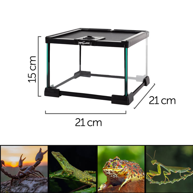 Reptizoo Mini Habitat de Cristal de  6.6 Lt  de 21 cm x 21 cm x 15 cm, con tapa deslizable superior de malla, vision 360, para Reptiles, Arácnidos, Insectos y mas.