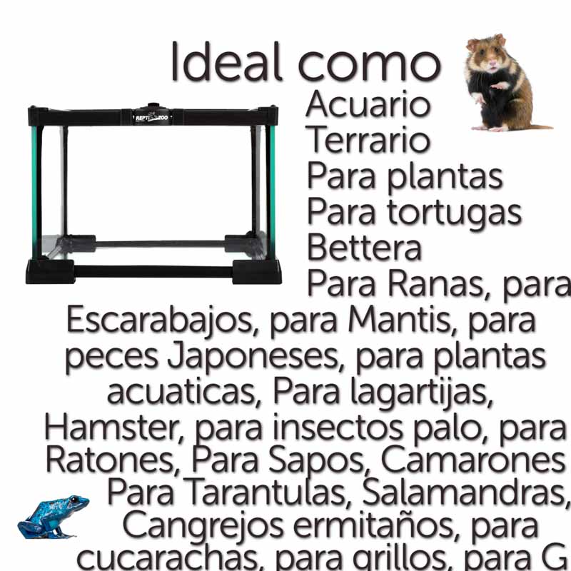 Reptizoo Mini Habitat de Cristal de  6.6 Lt  de 21 cm x 21 cm x 15 cm, con tapa deslizable superior de malla, vision 360, para Reptiles, Arácnidos, Insectos y mas.