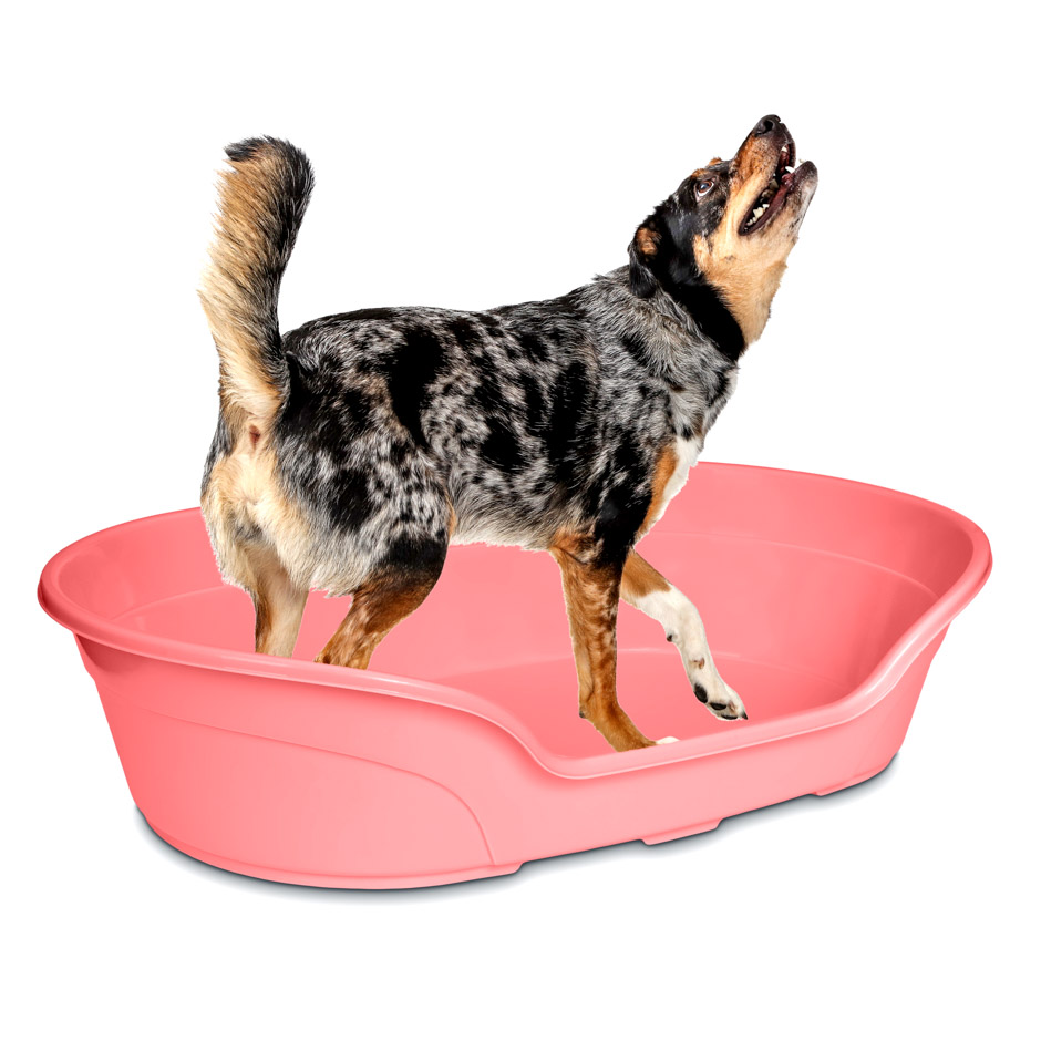 KE WOOW Cama para perros, gatos, conejos y mas, Camita de plástico con colchón incluido, Cama de fácil acceso, Dog bed. Tamaño Mediano Color Rosa