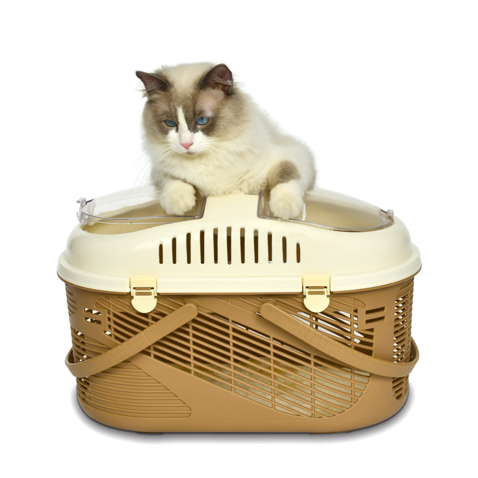 KE WOOW YOSEMITE Pet Carrier, Transportadora tipo canasta para perros, gatos y otras mascotas. En el hombro o en la mano, Kennel. Tamaño chico Color Café