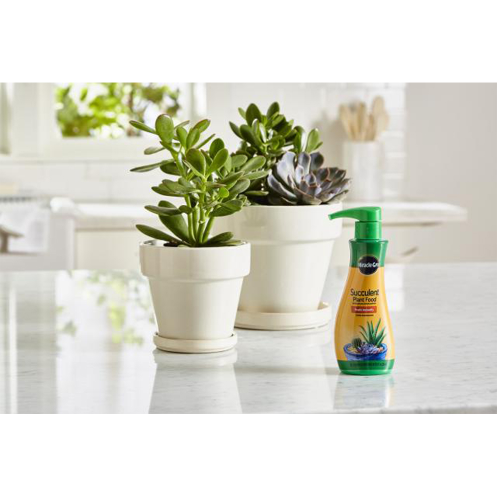 MIRACLE-GRO® FERTILIZANTE PARA SUCULENTAS 236 ML