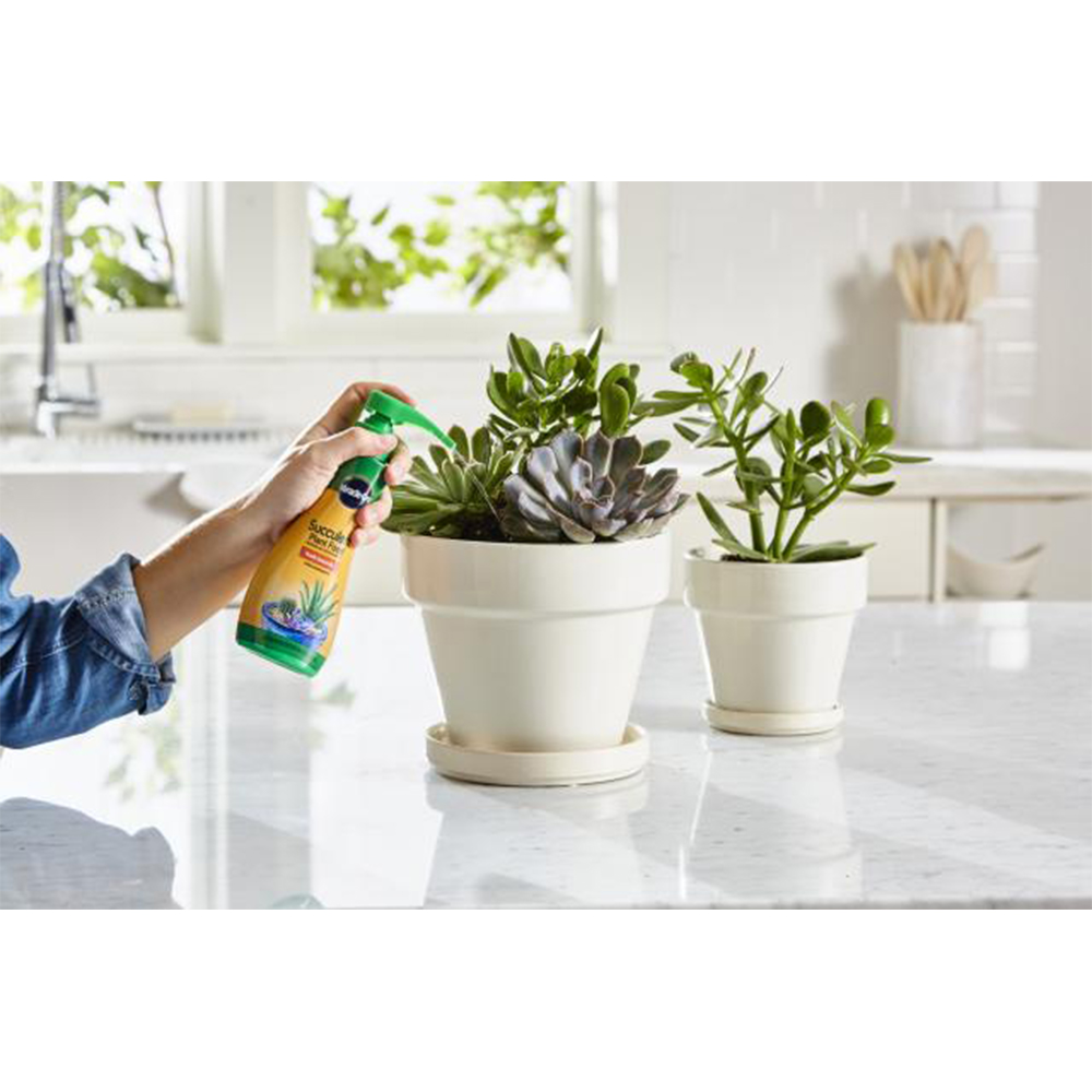 MIRACLE-GRO® FERTILIZANTE PARA SUCULENTAS 236 ML