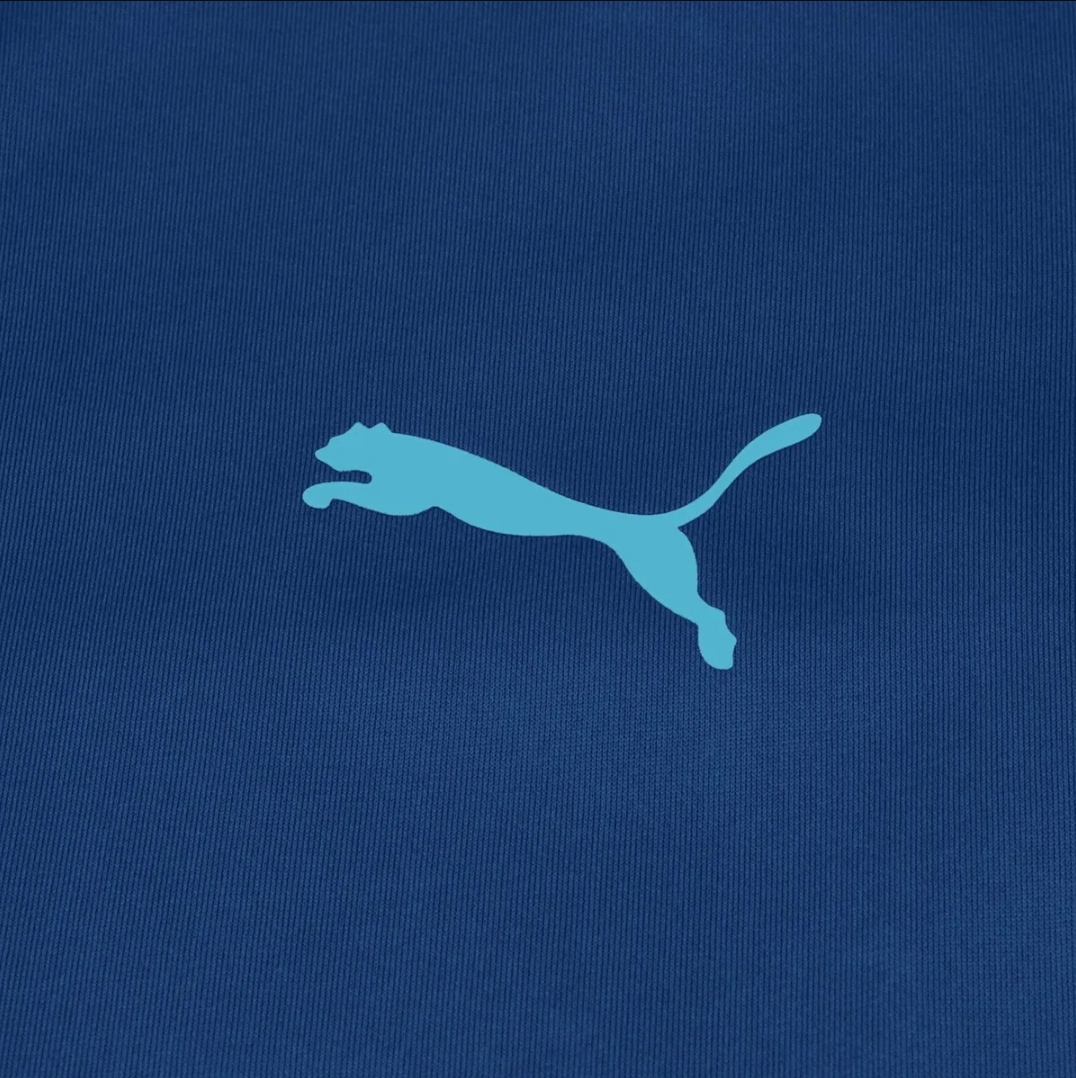 Jacket training chivas 2021/2022 PUMA 