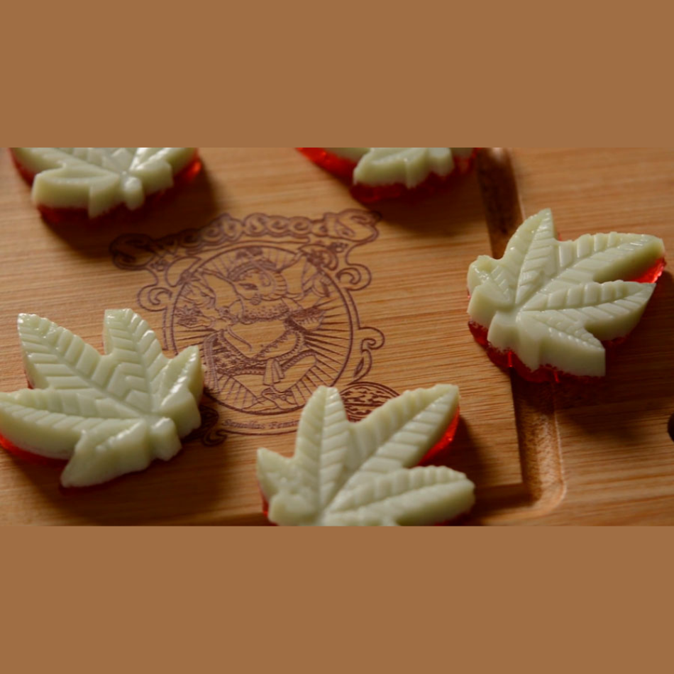 Molde De Silicón Para Reposteria Figura HIERBA Chocolates, Gelatinas, Hielo, etc. 