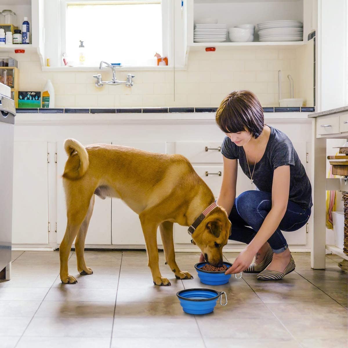 Tazón Plegable de Silicona para Perro Color Azul Para Beber o Comer Al Aire Libre