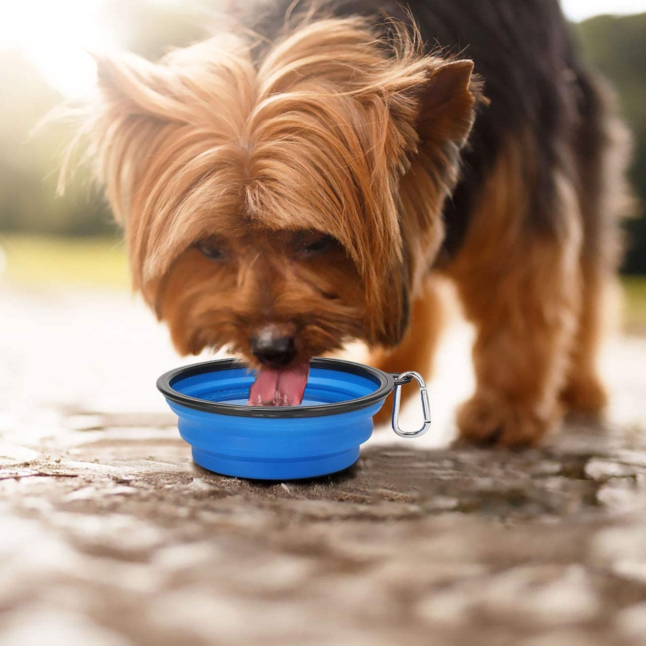 Tazón Plegable de Silicona para Perro Color Azul Para Beber o Comer Al Aire Libre