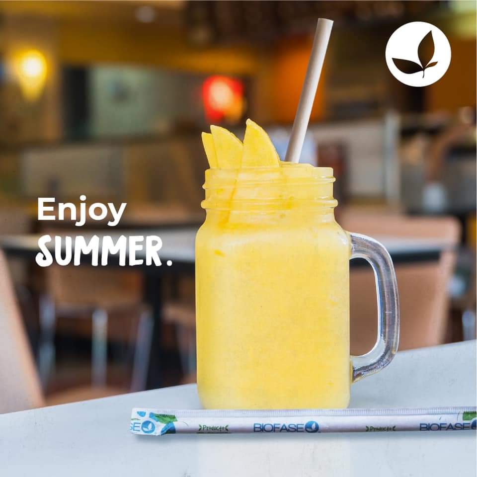 Popote Estuchado de semilla de aguacate / 21 cm / 500 pzs