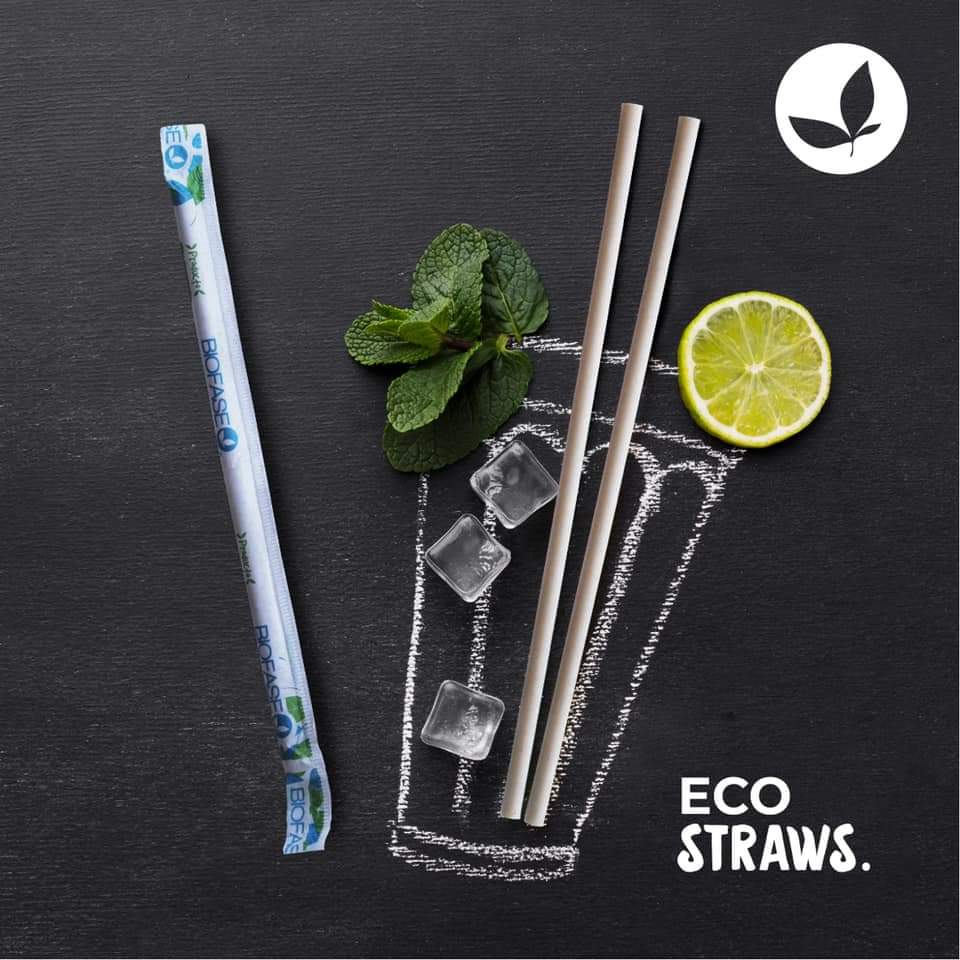 Popote Estuchado de semilla de aguacate / 21 cm / 500 pzs