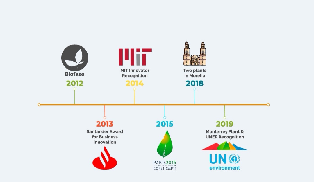 Popote Estuchado de semilla de aguacate / 21 cm / 500 pzs