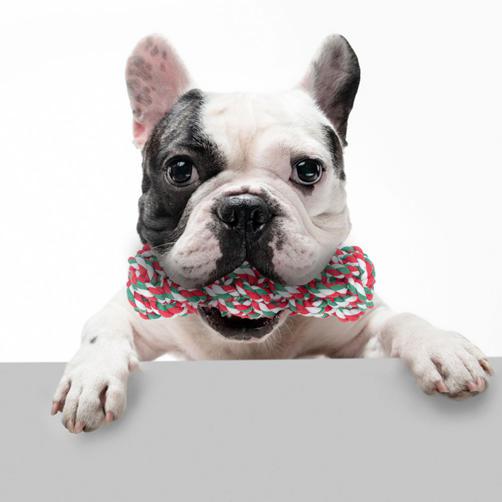 Juguete Jaladera Trenza Cuerda Para Perros Mascotas 3 Piezas