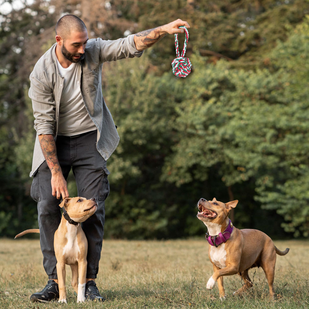 Juguete Jaladera Trenza Cuerda Para Perros Mascotas 3 Piezas