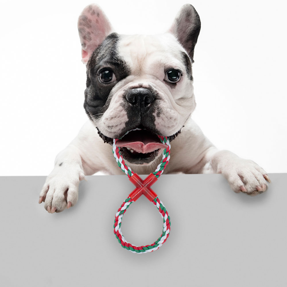 Juguete Jaladera Trenza Cuerda Para Perros Mascotas 3 Piezas