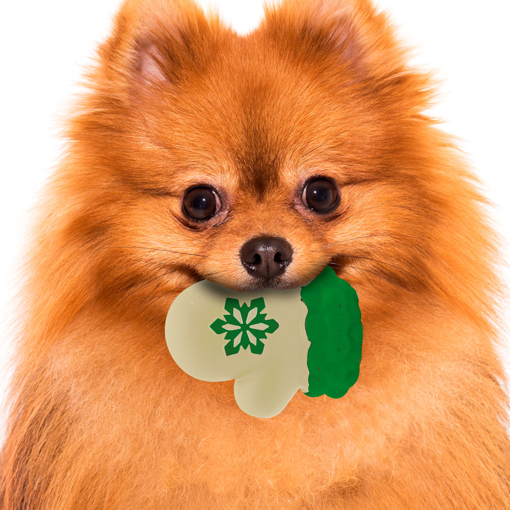 Juguete Chillon Guantes Navideños De Plástico Para Perro Blanco y  Verde