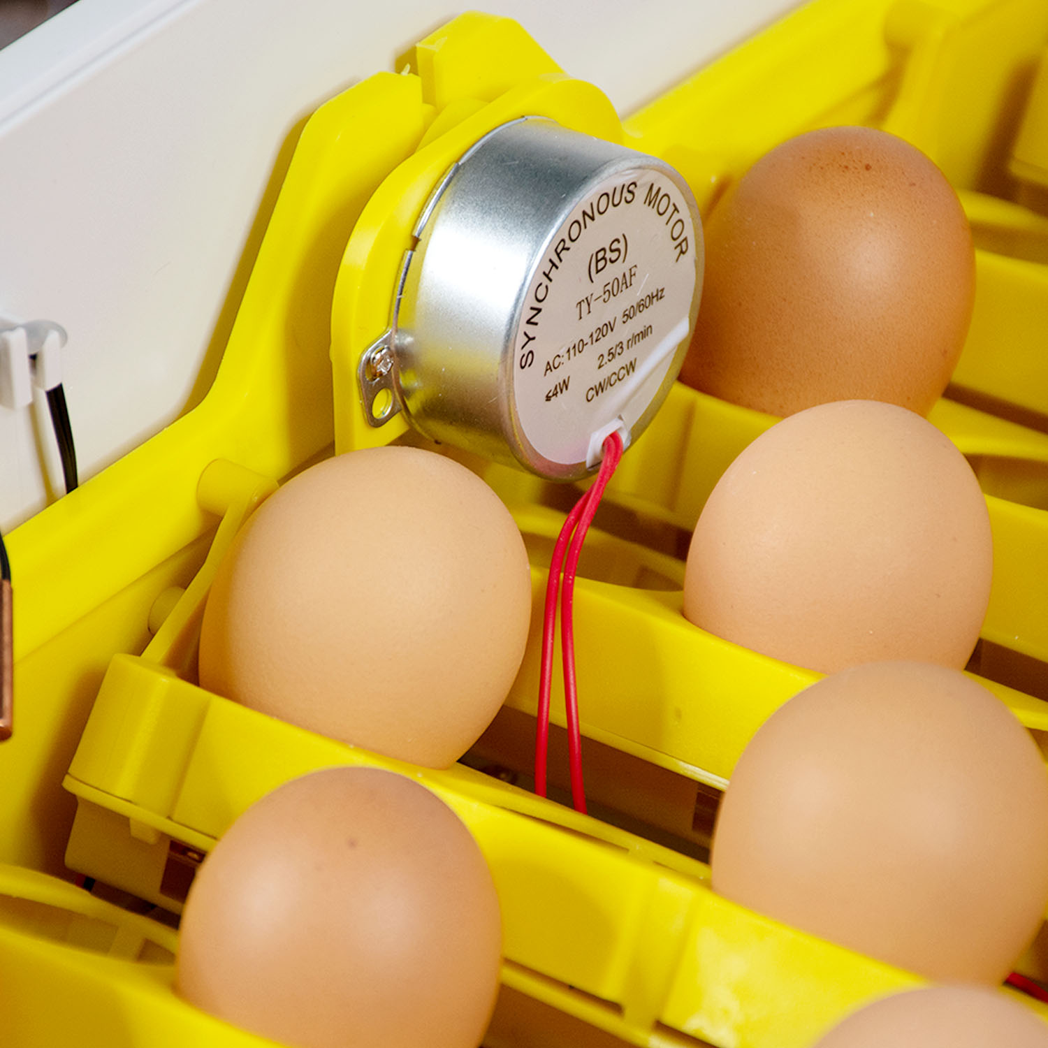 Incubadora Volteador Automatico Pollos 56 Huevos 