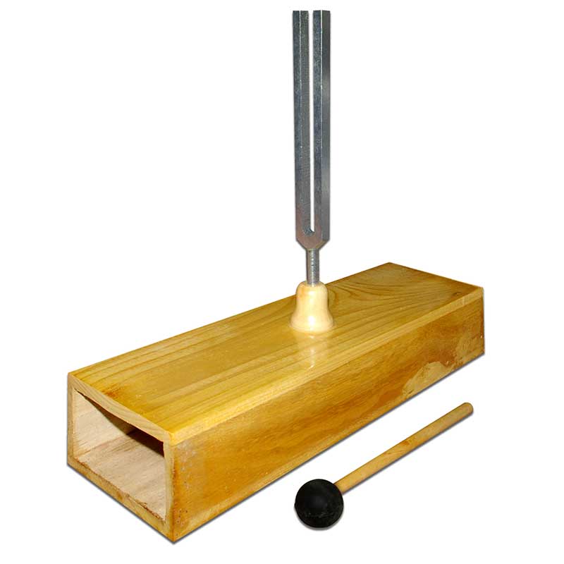 ZEIGEN Experimento Caja de Resonancia con Diapason