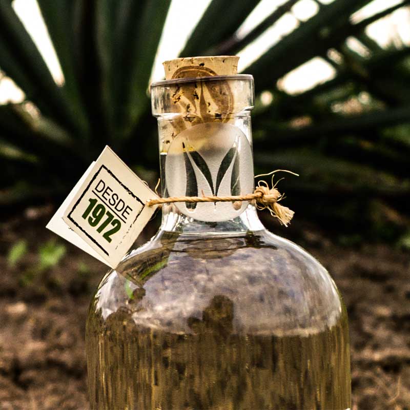 Mezcal/Destilado artesanal Reposado de Barril El Magueyal Oaxaca 750ml