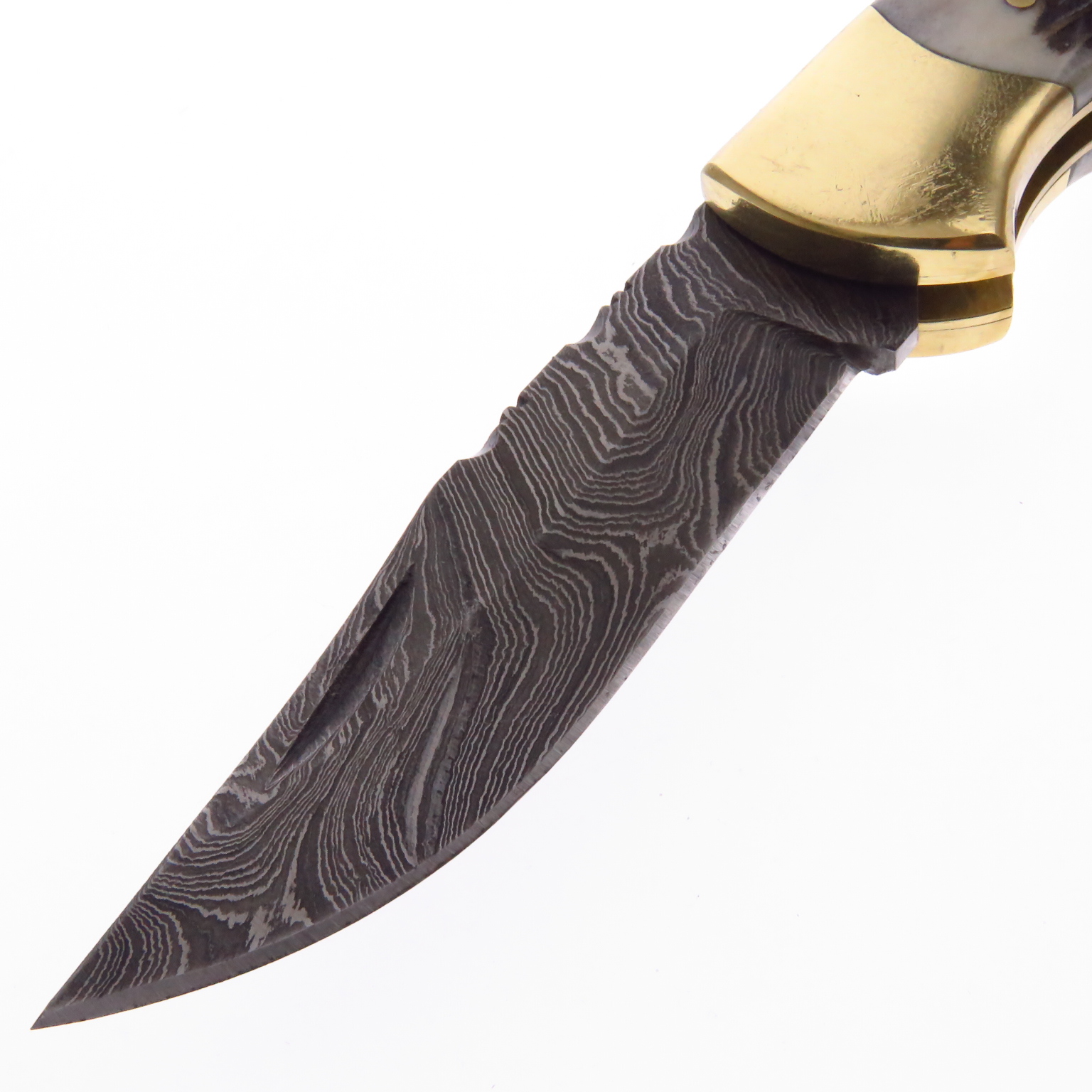 Dm1162Sg Dm Navaja De Caceria Acero Damasco Asta De Venado.
