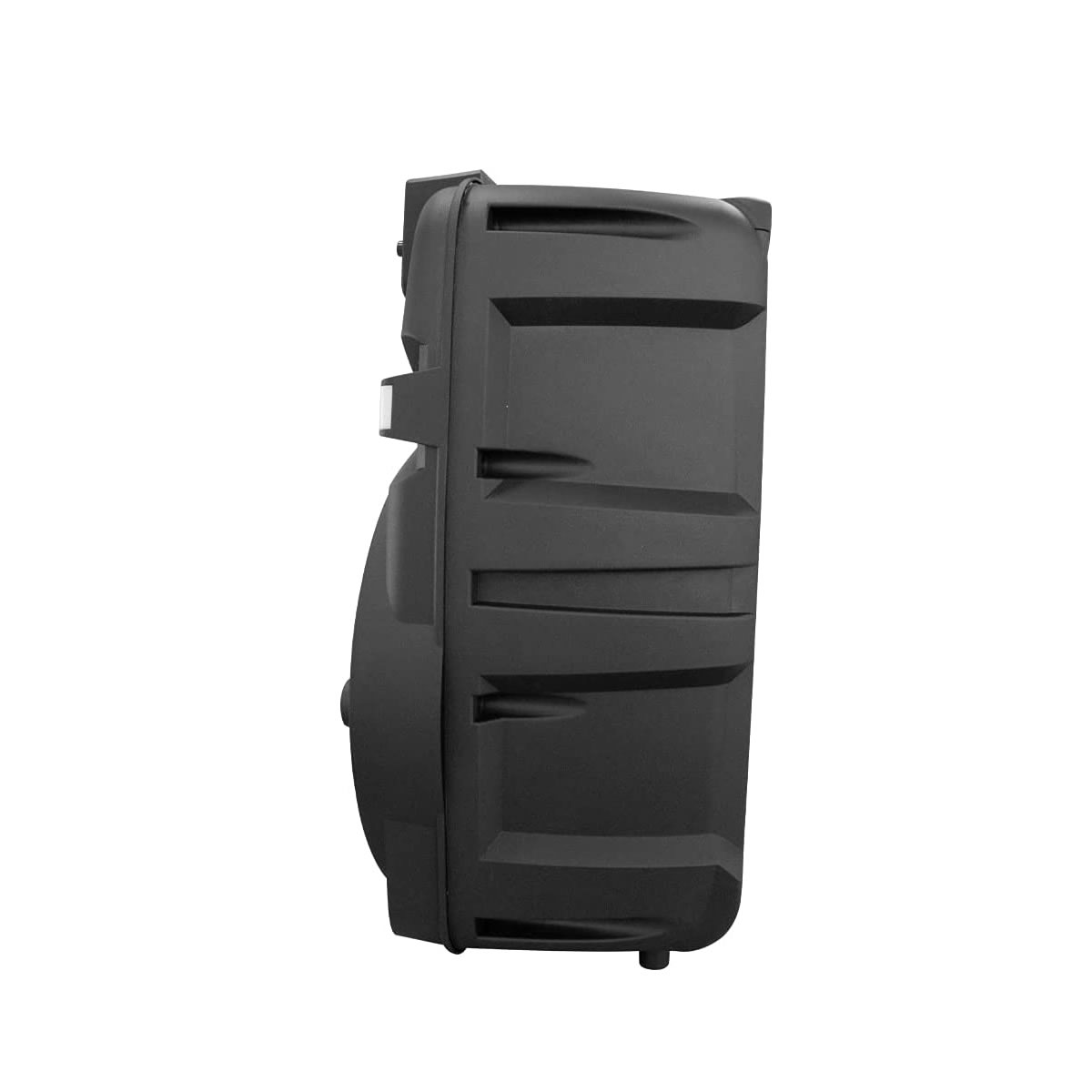 Bafle Amplificado Fussion Acustic PBS-12007 De 12 Pulgadas - Negro