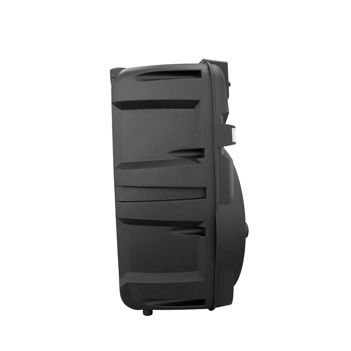 Bafle Amplificado Fussion Acustic PBS-12007 De 12 Pulgadas - Negro