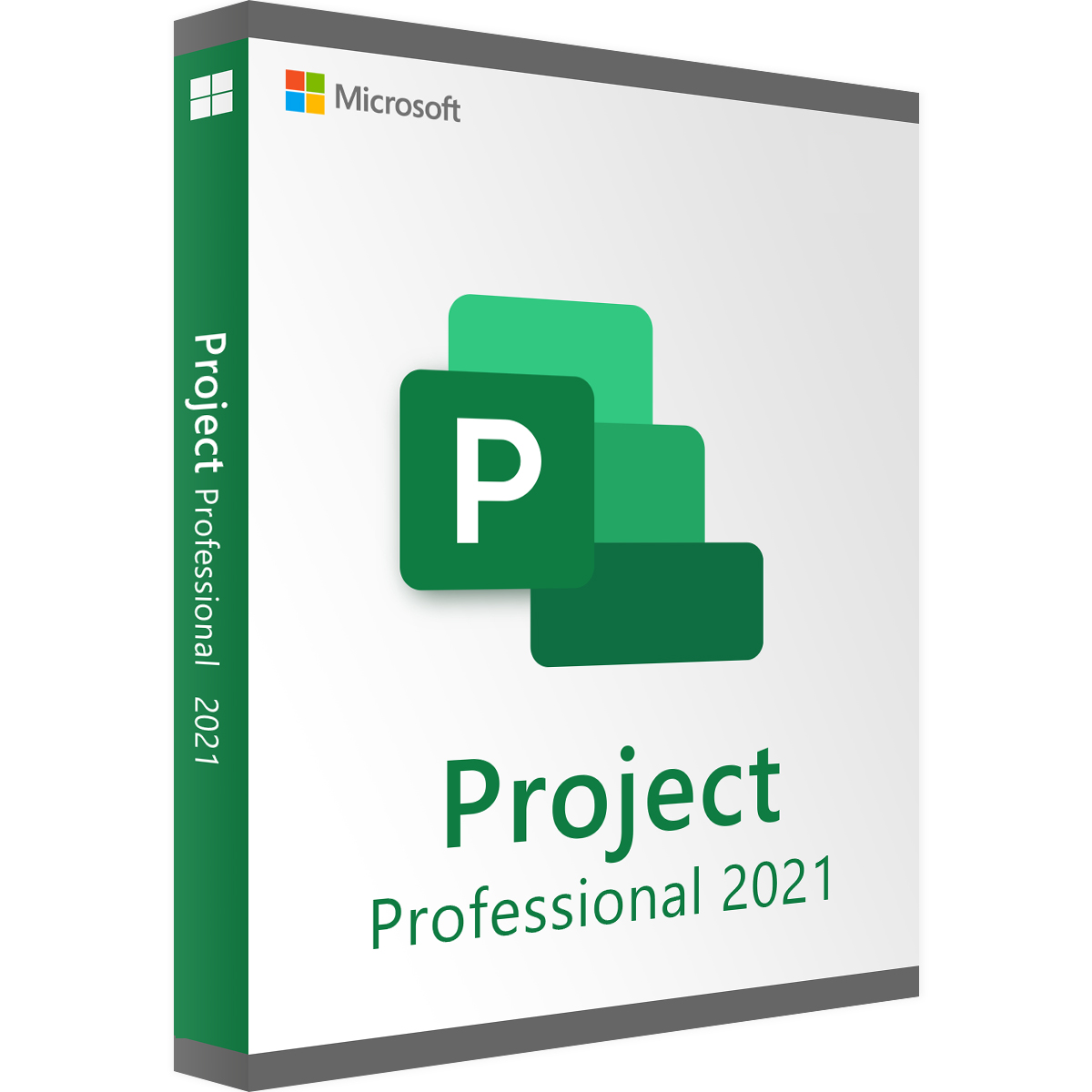 LICENCIA PROJECT PROFESSIONAL 2021 DIGITAL