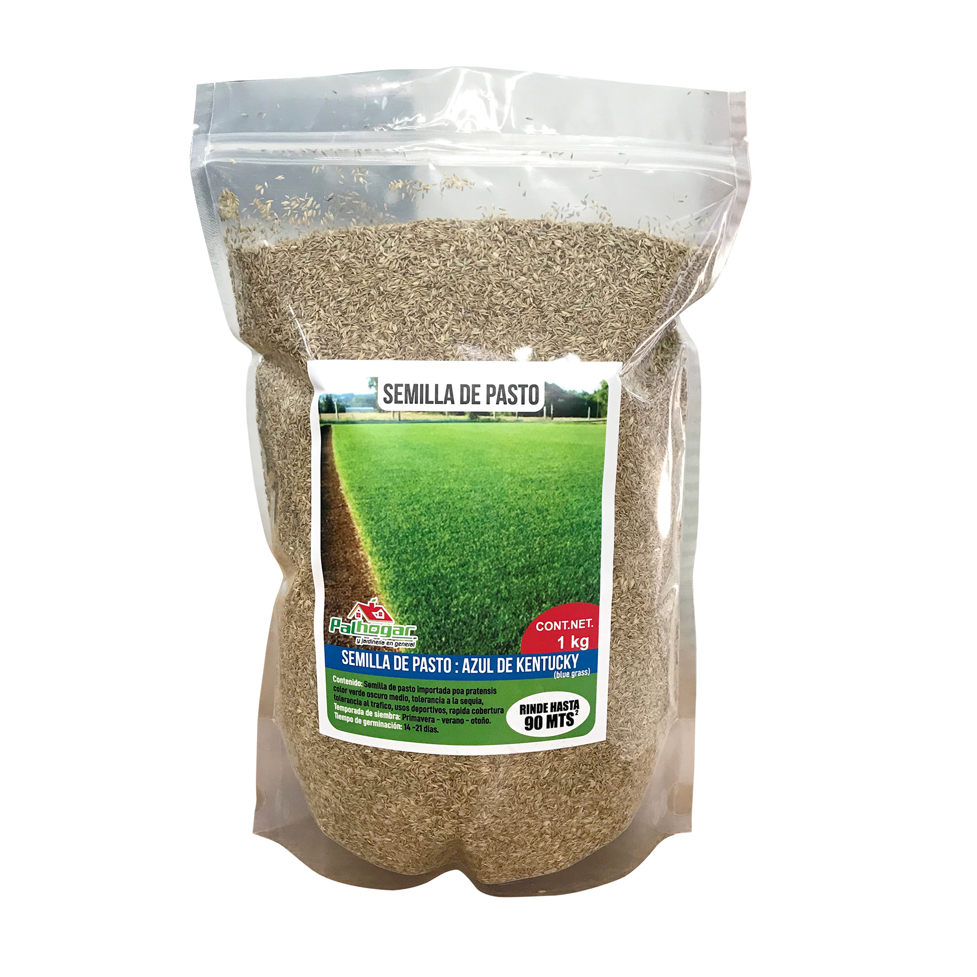 Semilla de pasto Azul de Kentucky 1kg