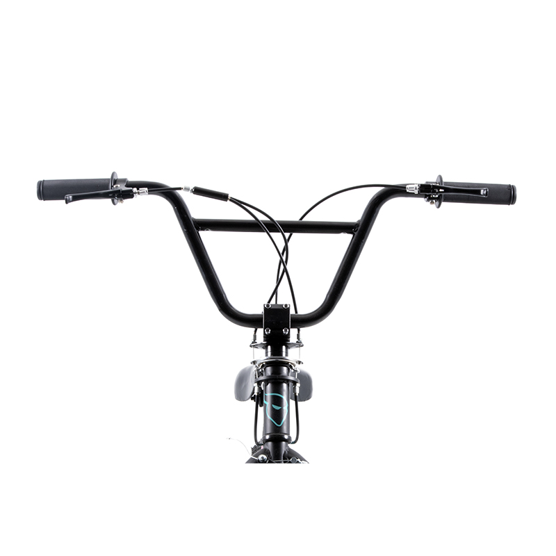 Bicicleta Ghost Law Freestyle Rodada 20 Negro BMX