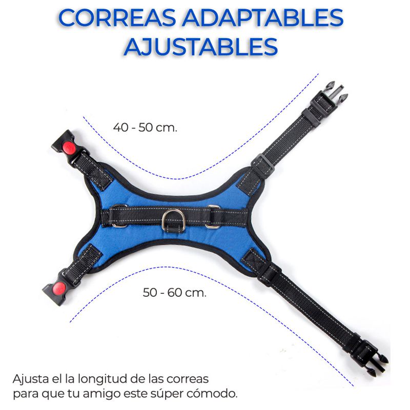 🐶 Collar De Identificación Ajustable Para Cachorros – Kit De Cría Suave Y Lavable – Todas Las Razas