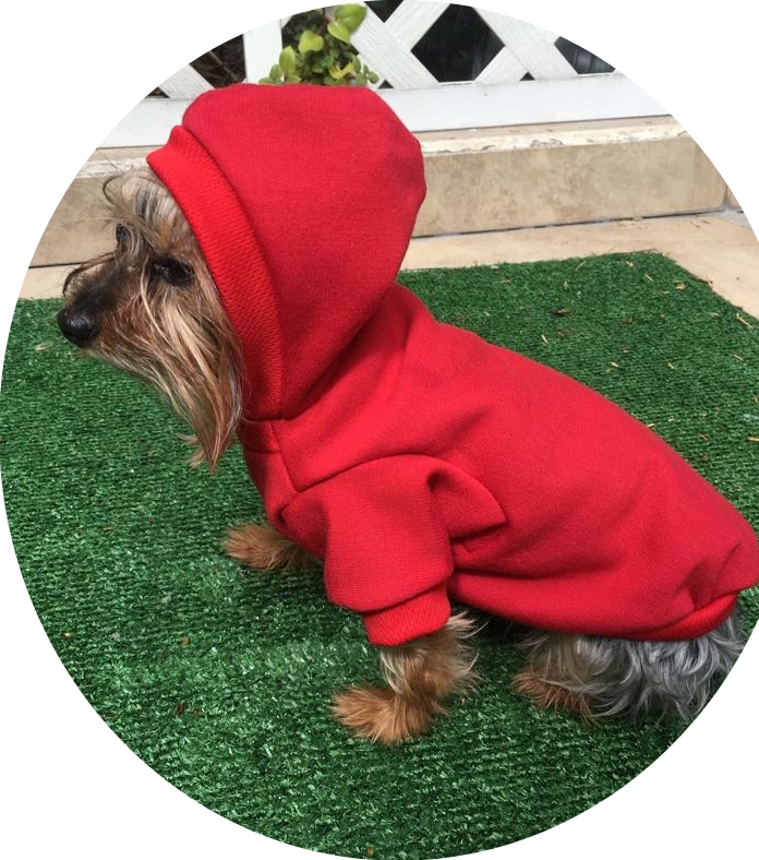 Sudadera ropa para mascota perro o gato color ROJO