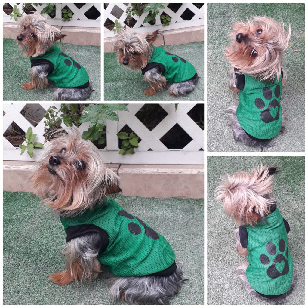 Jersey Ropa para mascota perro o gato modelo HUELLA