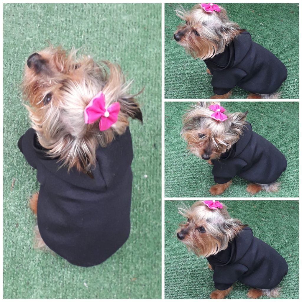 Sudadera Ropa para mascota perro o gato especiales para frío NEGRO