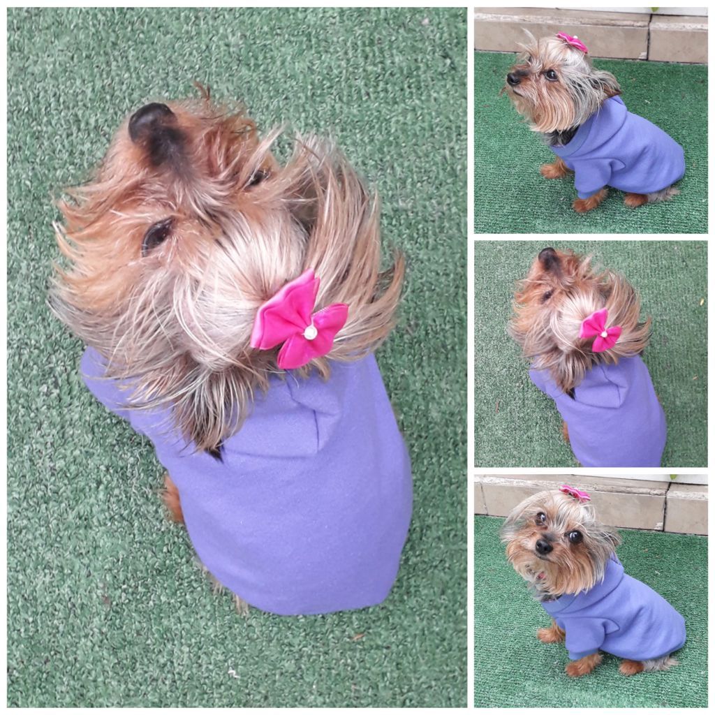 Sudadera Ropa para mascota perro o gato especiales para frío LILA