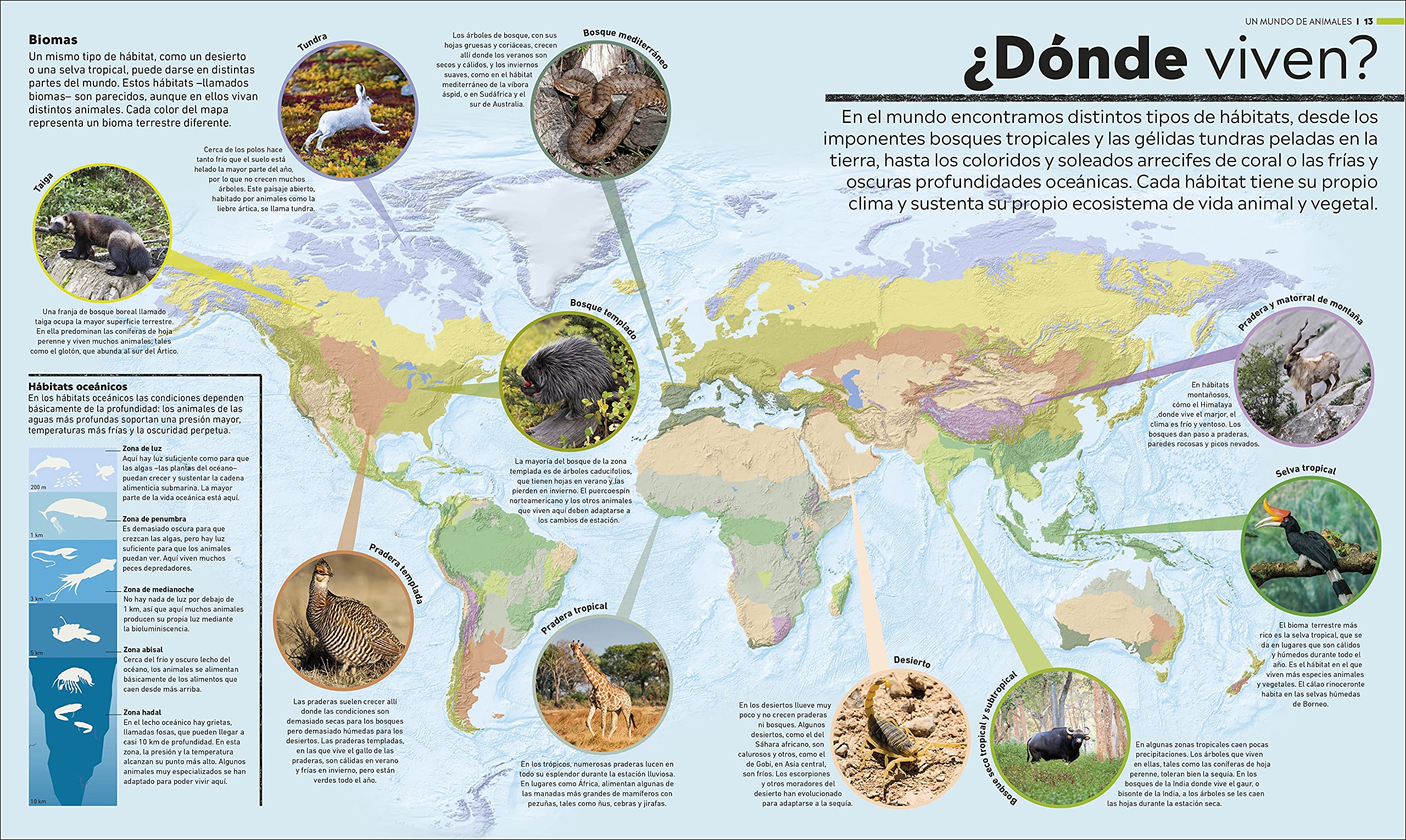 Atlas del mundo animal: La vida salvaje en mapas