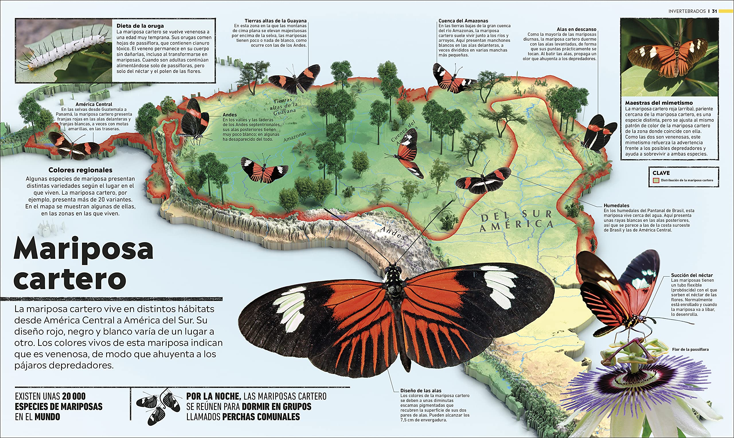 Atlas del mundo animal: La vida salvaje en mapas