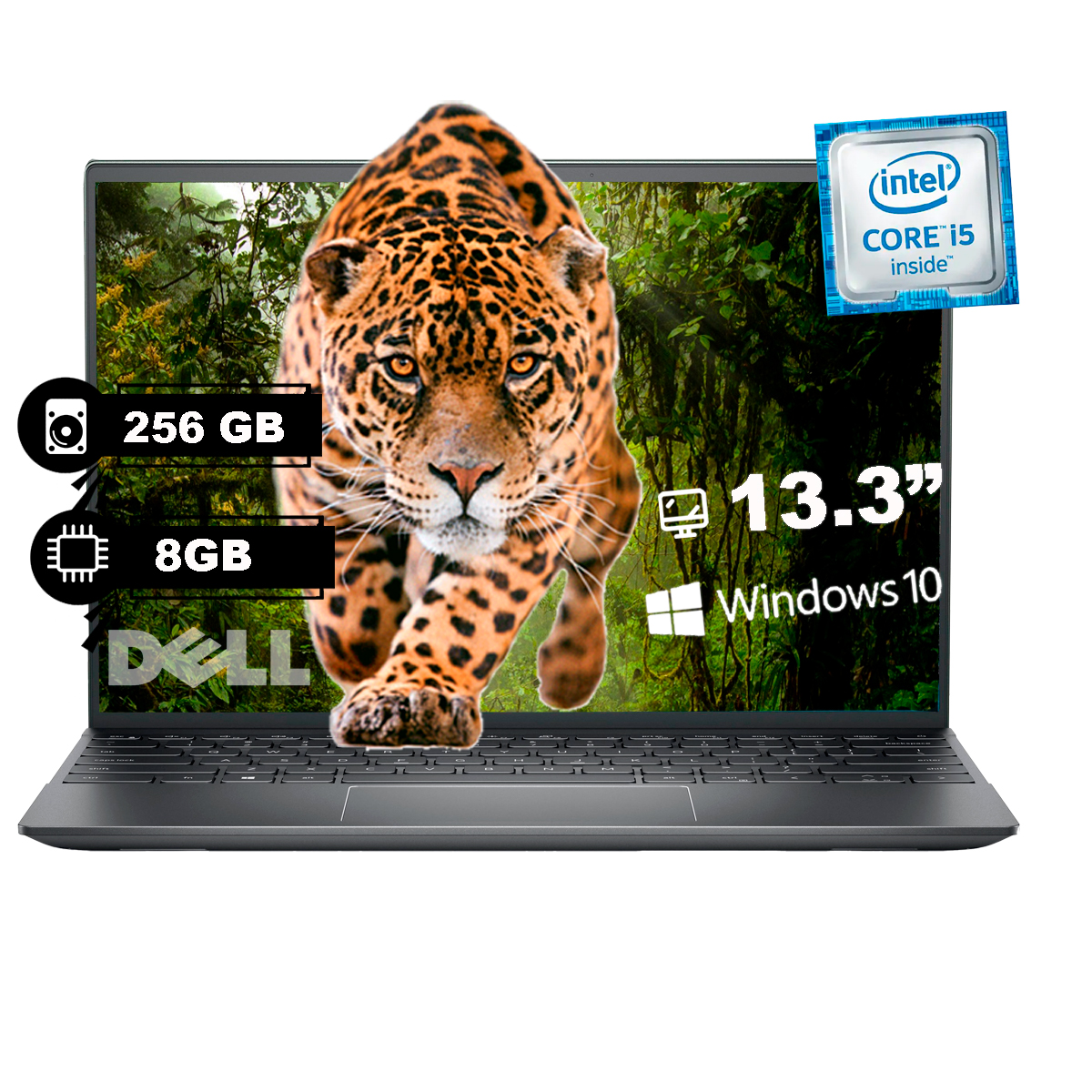 Laptop Dell Vostro 13-5310 13.3