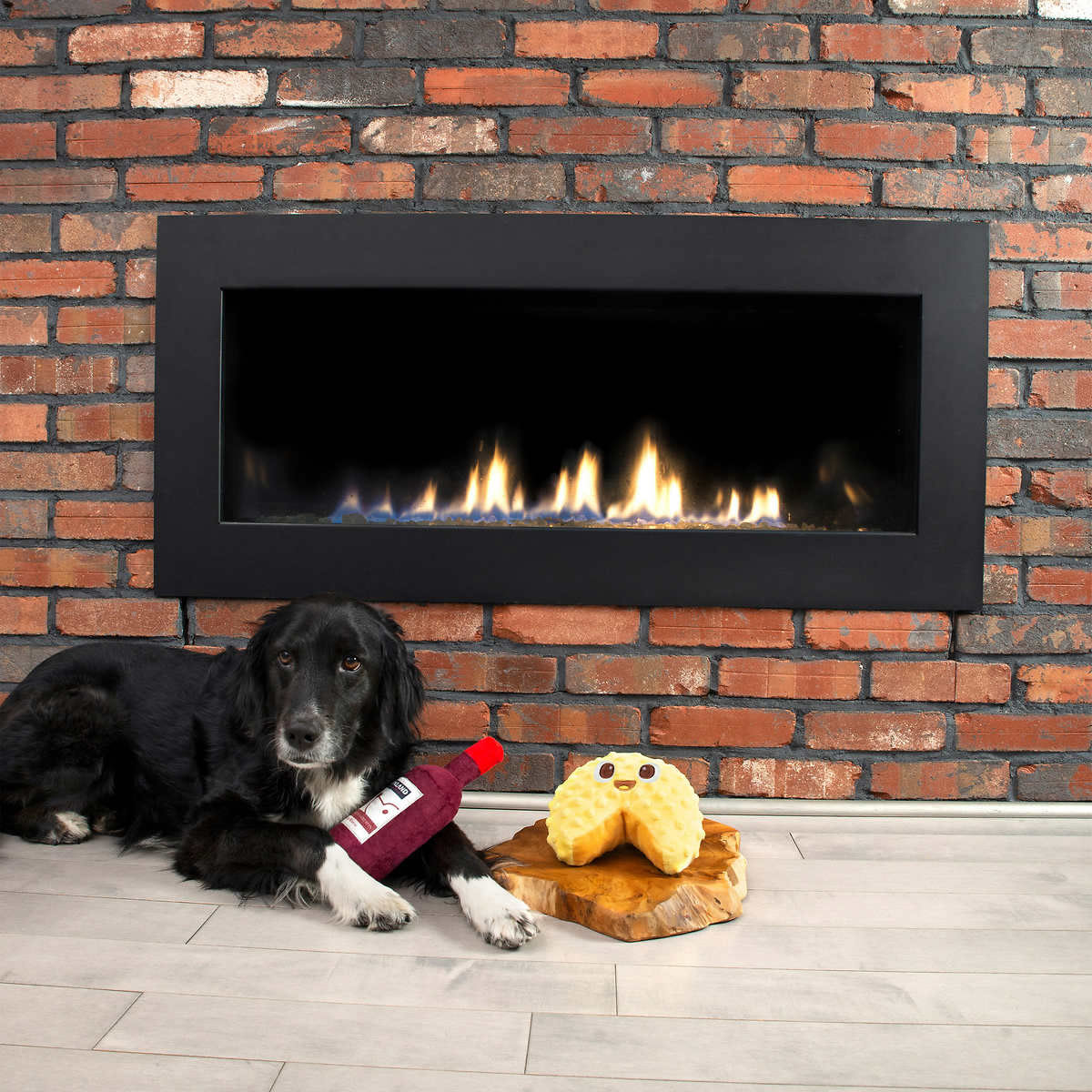 Juguetes Para Mascota Bark Party Pack 1530250 De 4 Piezas CST