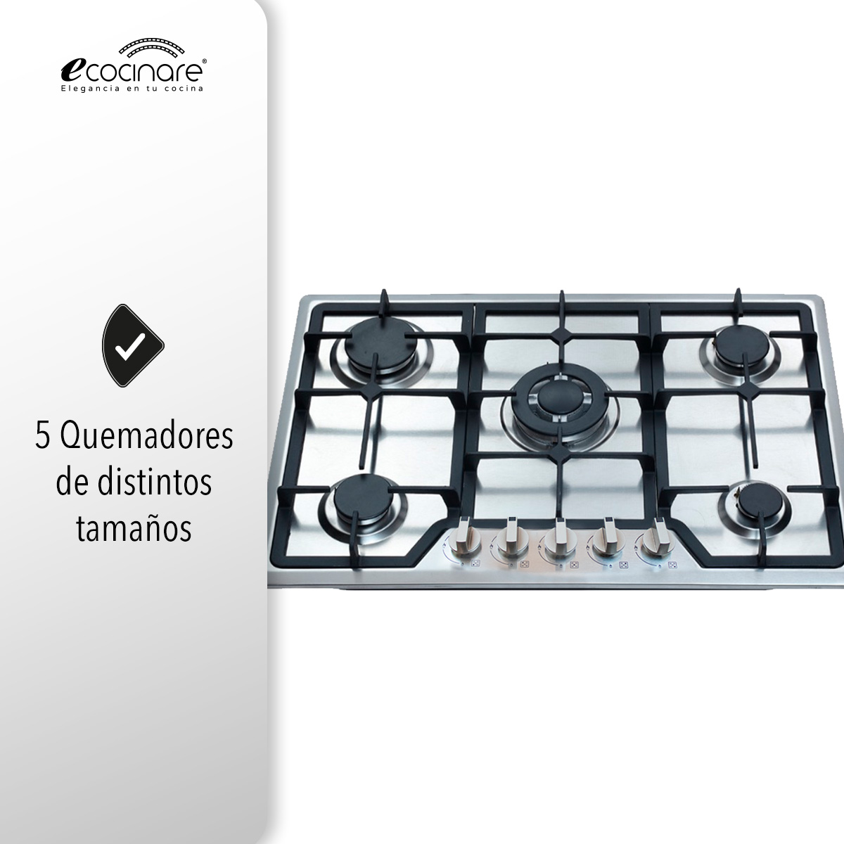 Parrilla A Gas Lp y Gas Natural Plateada Acero Inoxidable 5 Quemadores 120v