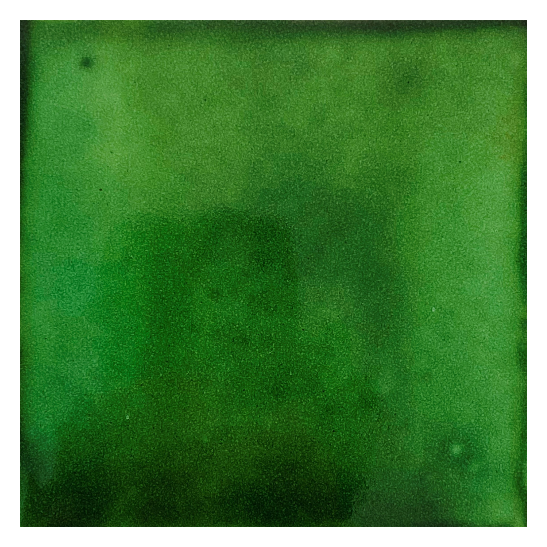 AZULEJOS VERDE SOBRE BLANCO TRADICIONAL TALAVERA VIBRALTA CAJA 90PZAS 10X10CM DOLORES HIDALGO