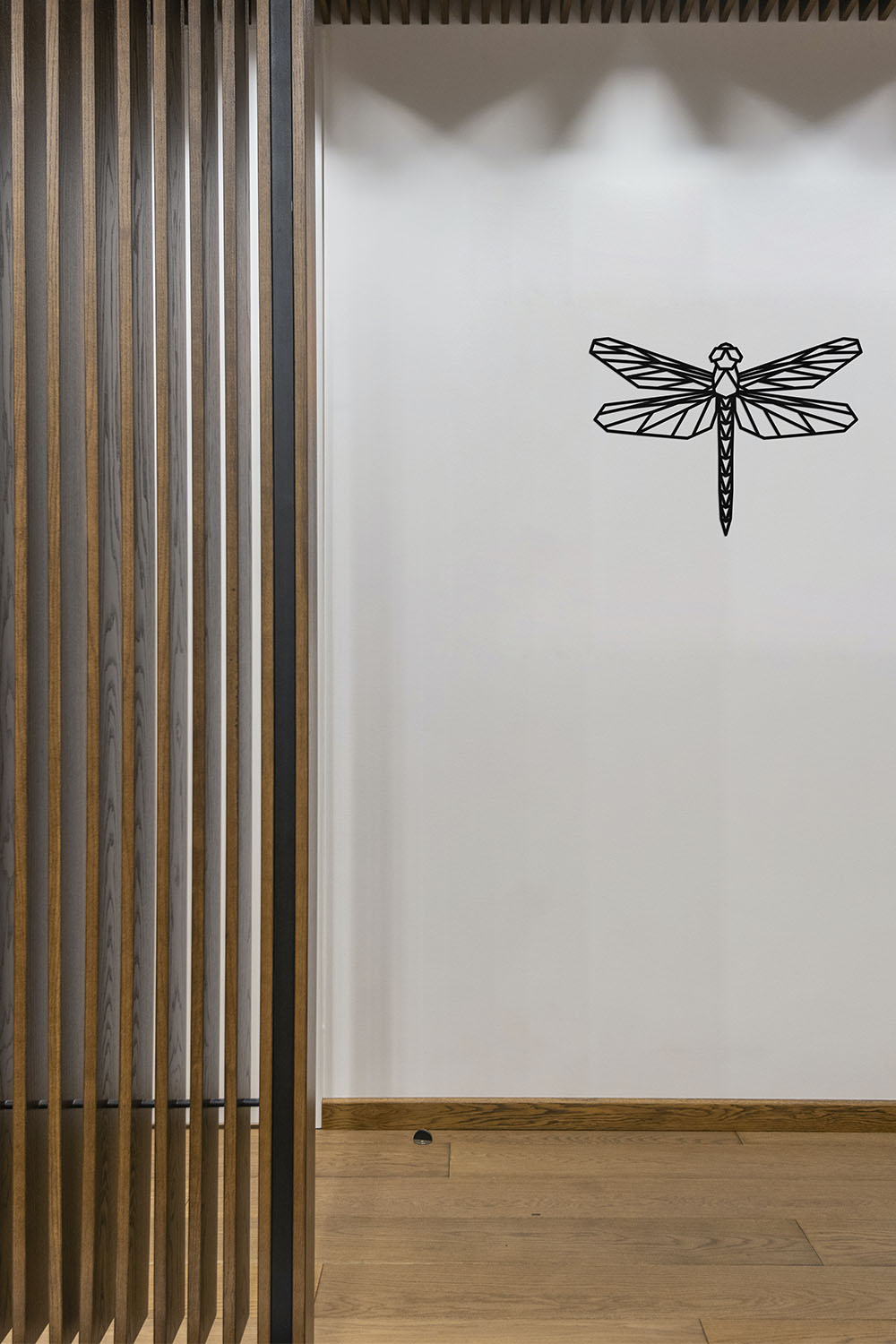 Cuadro 3d Decorativo ANGELOZANO  Adorno De Pared Libélula Artesanal Mdf
