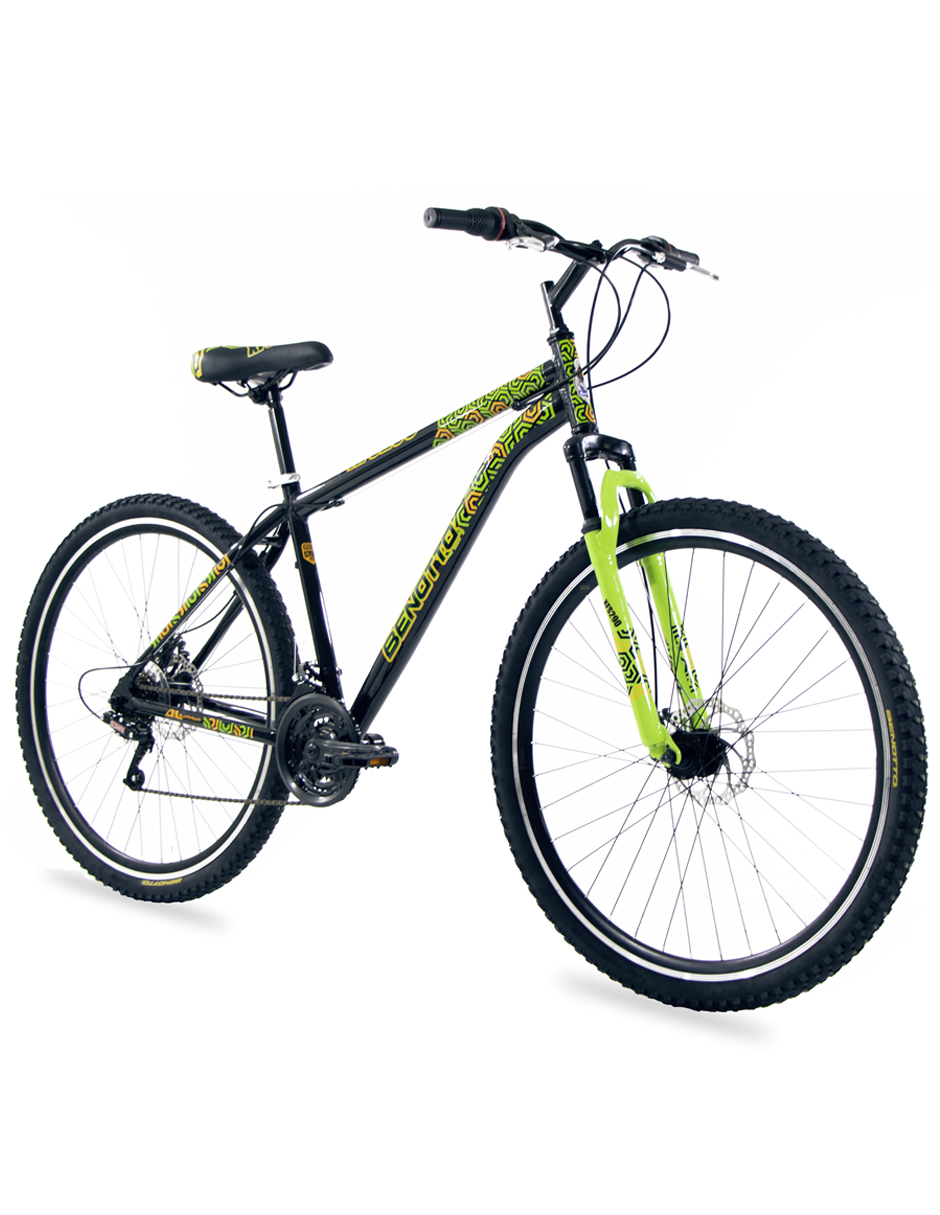 Bicicleta de Montaña R29 Benotto XFS290