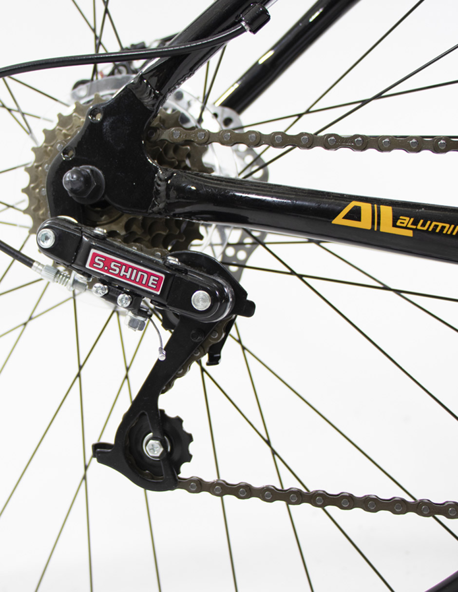 Bicicleta de Montaña R29 Benotto XFS290