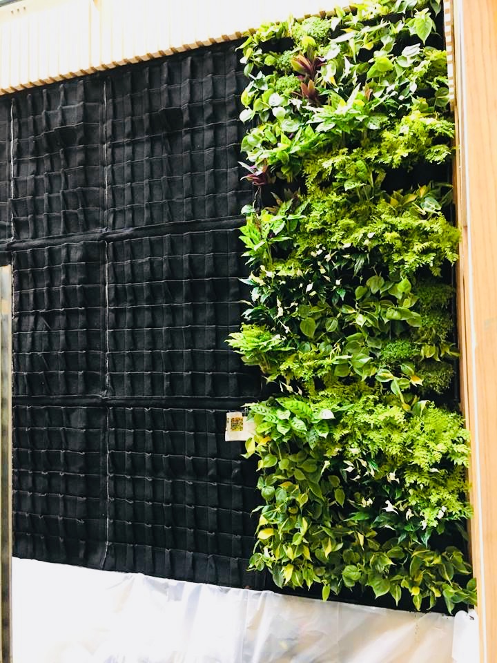 Jardin vertical natural 4 piezas Muros Verdes Naturales Geotextil