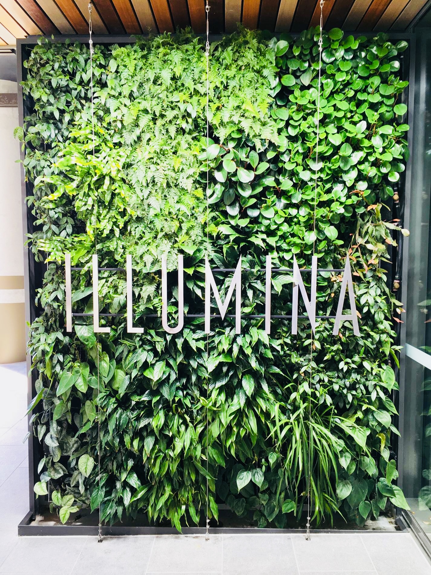 Jardin vertical natural 4 piezas Muros Verdes Naturales Geotextil