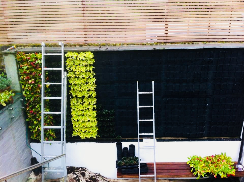 Jardin Vertical Muro Verde Geotextil Maceta Colgante 1m2 