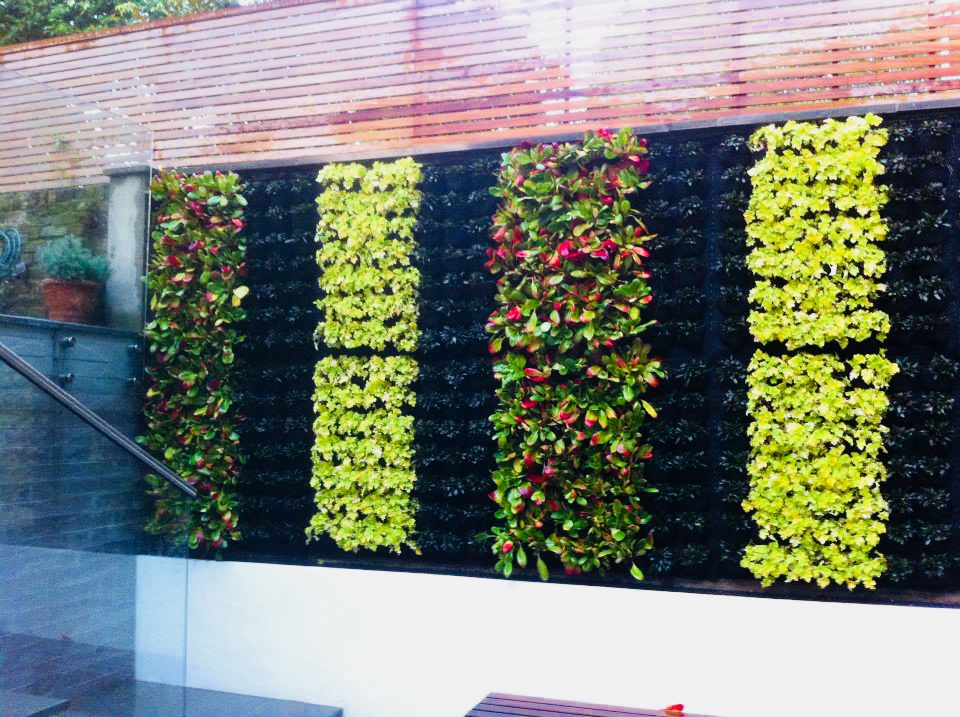 Jardin Vertical Muro Verde Geotextil Maceta Colgante 1m2 